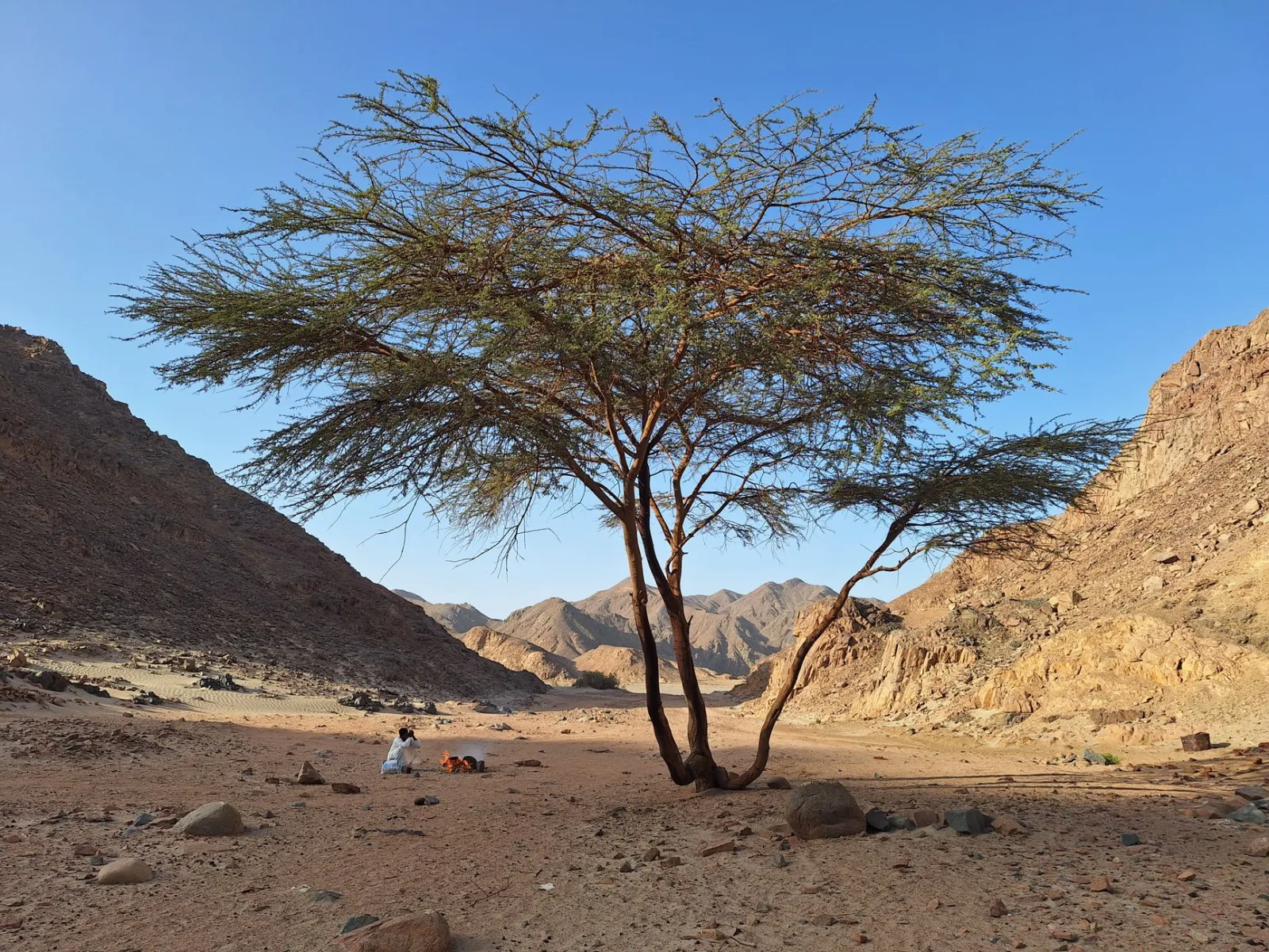 Levné letenky Marsa Alam